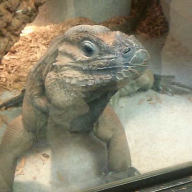 The Serpentarium Trip Packages