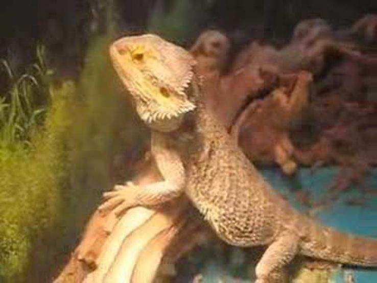 The Serpentarium Trip Packages