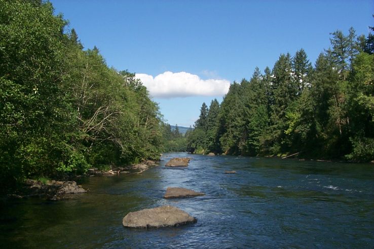 McKenzie River National Recreation Trail Trip Packages