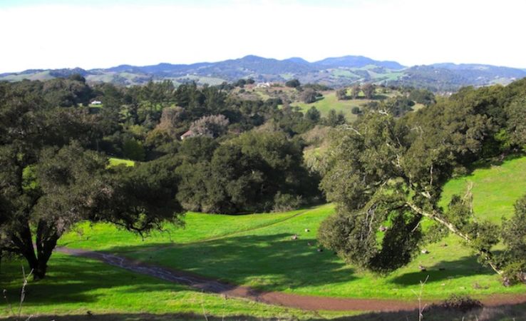Westwood Hills Park Trip Packages
