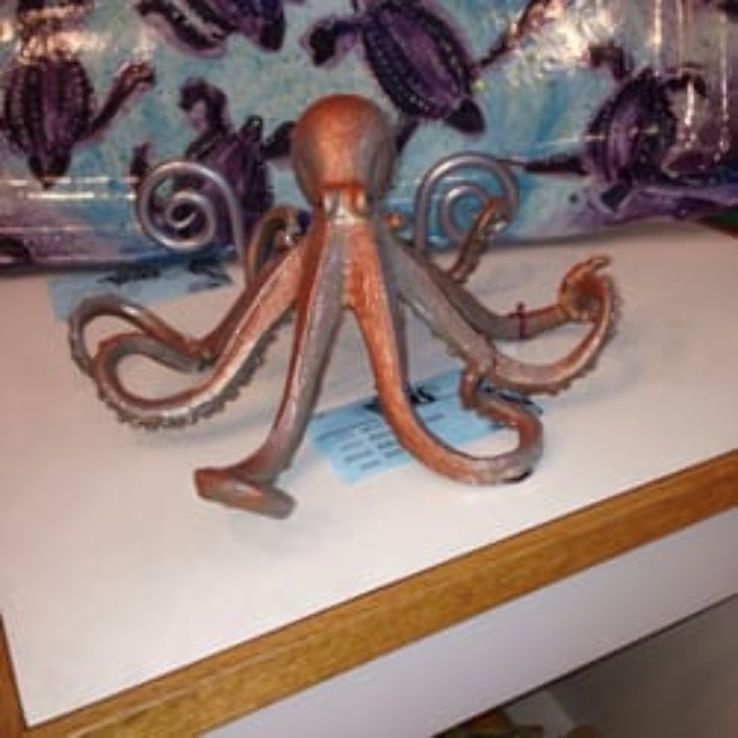 Jungle Drums Gallery Trip Packages