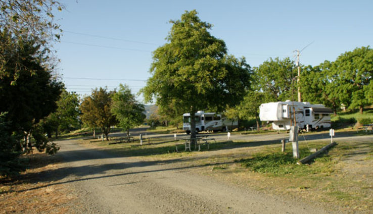 Skyline Wilderness Park Trip Packages