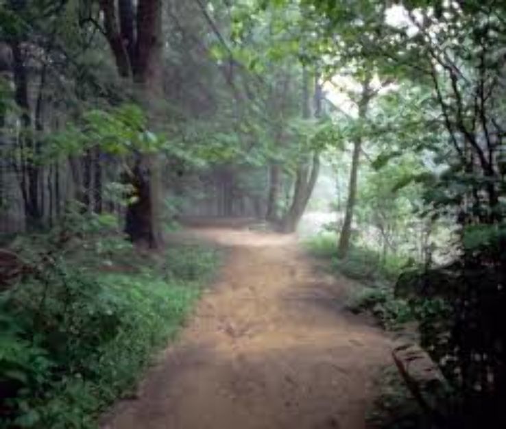 Jacobsburg State Park  Trip Packages