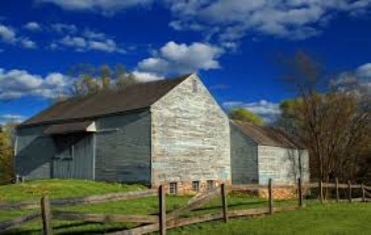 Louise Moore County Park  Trip Packages