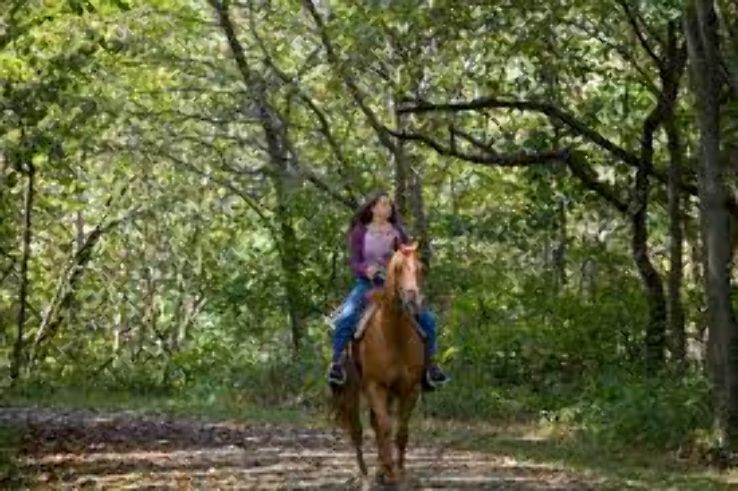Bridle Trails State Park  Trip Packages