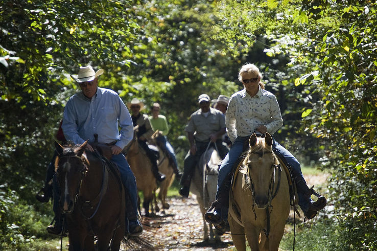 Bridle Trails State Park  Trip Packages