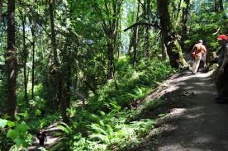 Evans Creek Preserve  Trip Packages