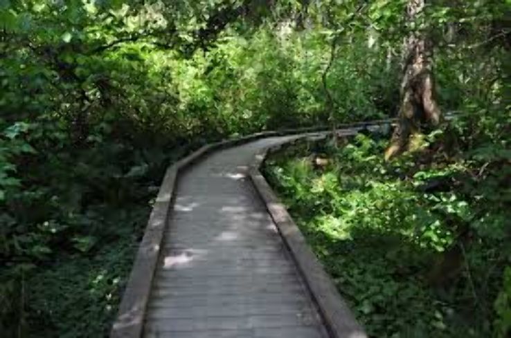 Evans Creek Preserve  Trip Packages