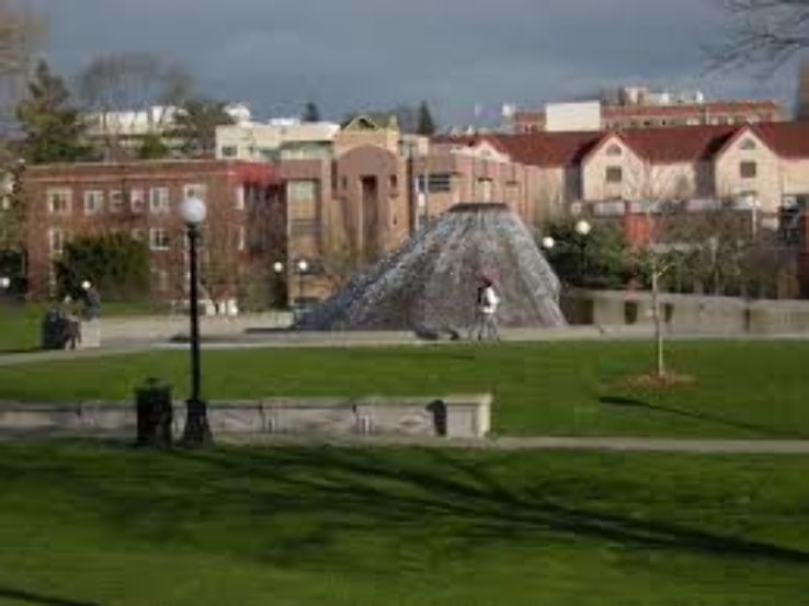 Anderson Park Trip Packages