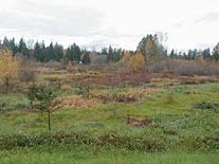 Cold Creek Natural Area   Trip Packages