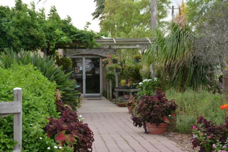South Texas Botanical Gardens and Nature Center Trip Packages