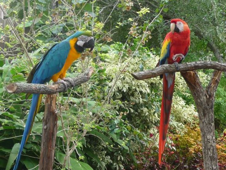 South Texas Botanical Gardens and Nature Center Trip Packages