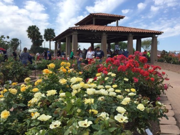 South Texas Botanical Gardens and Nature Center Trip Packages