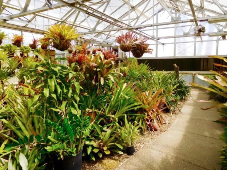 Botanical Gardens Corpus Christi simplyweddingdesigns