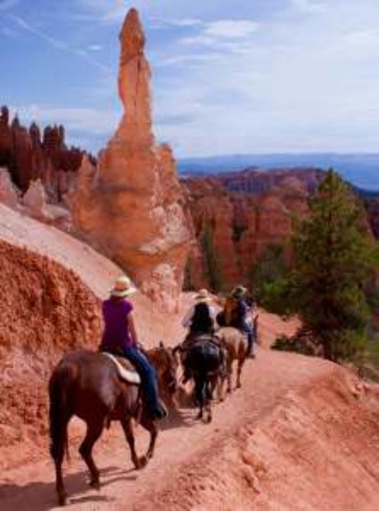 Horseback and mule rides Trip Packages