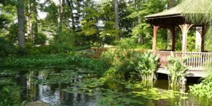 Toledo Botanical Garden  Trip Packages