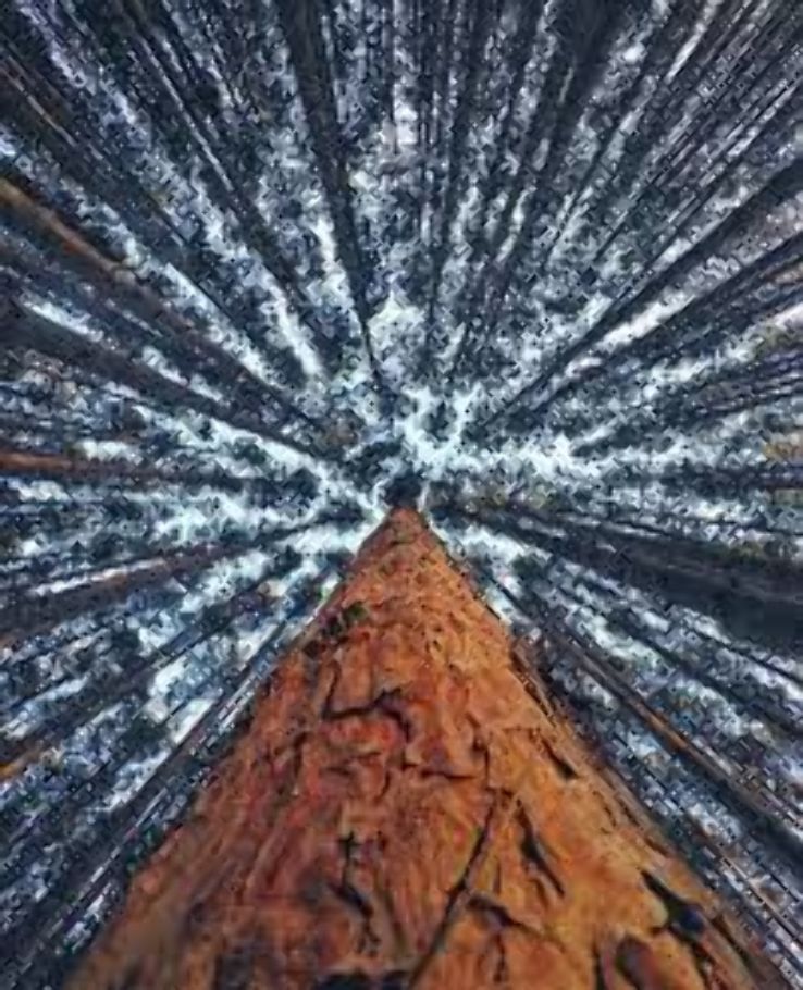 Oak Openings Preserve  Trip Packages