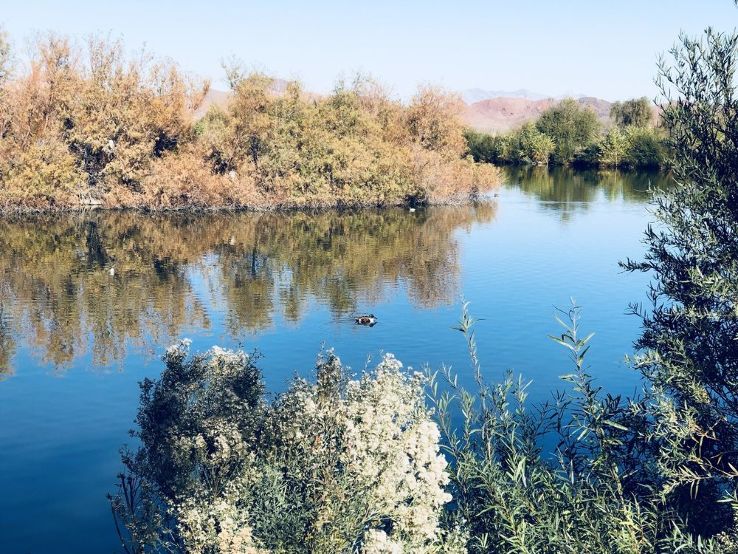 Henderson Bird Viewing Preserve Trip Packages