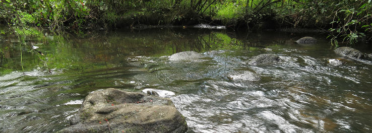 Jackson Bog State Nature Preserve Trip Packages