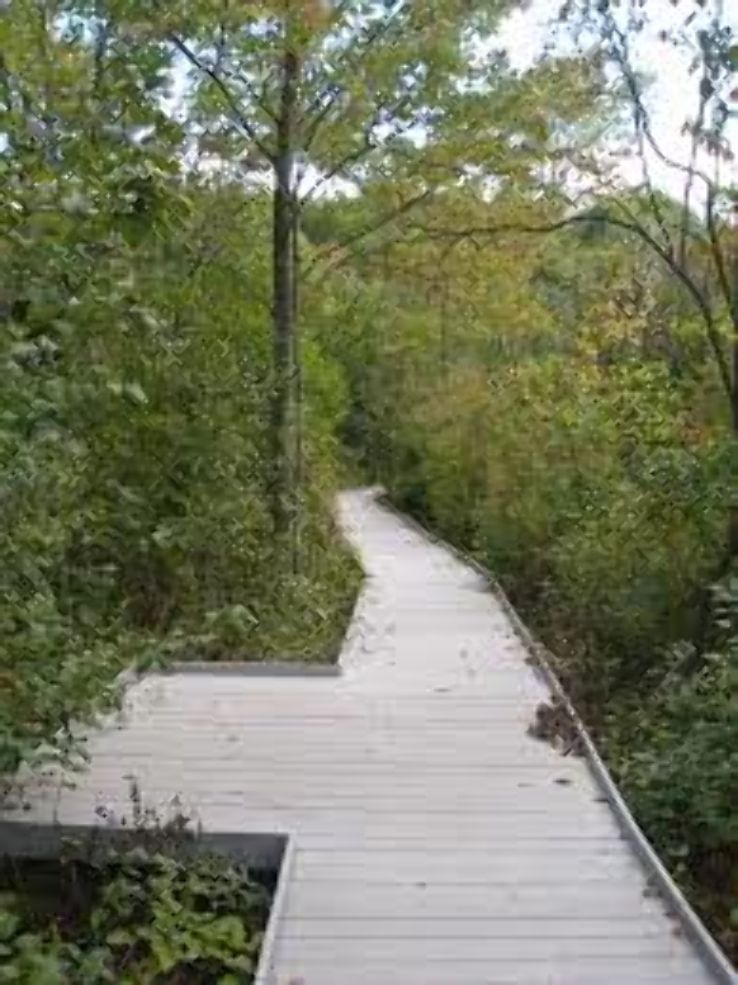 Jackson Bog State Nature Preserve Trip Packages