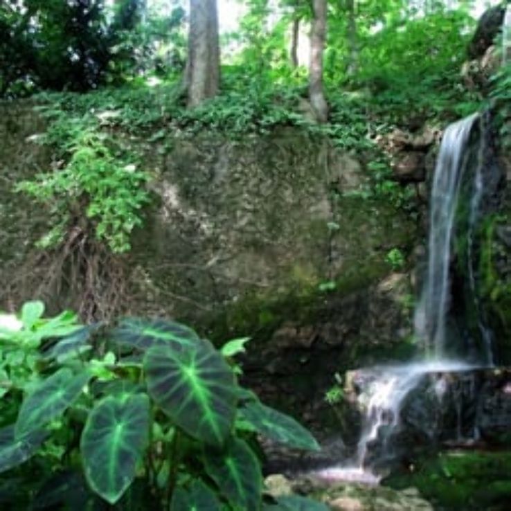 Linmar Gardens Trip Packages