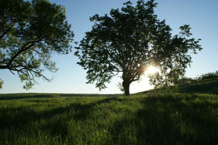 Grahams Island State Park Trip Packages