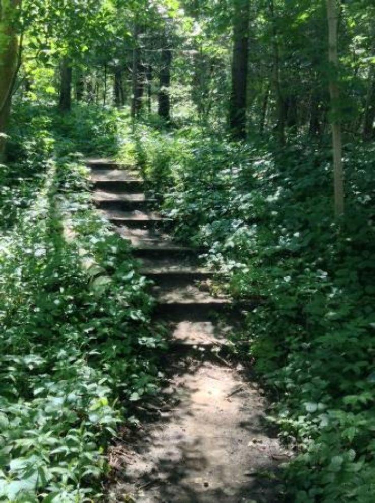 Komoka Provincial Park Trip Packages