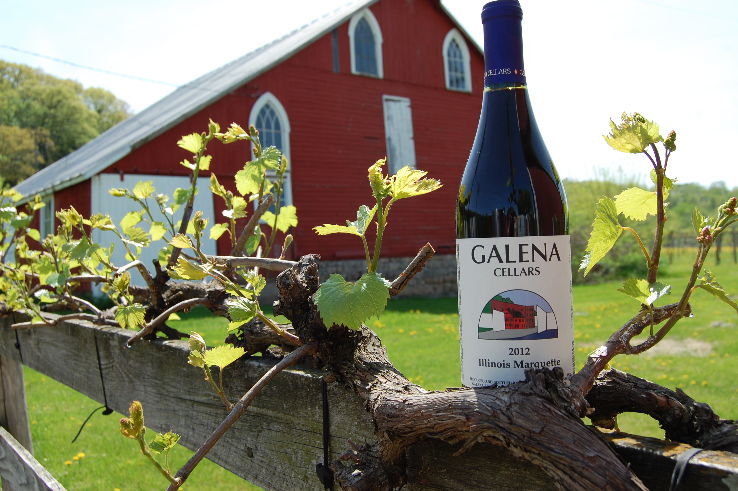 Galena Cellars Winery & Vineyard Trip Packages