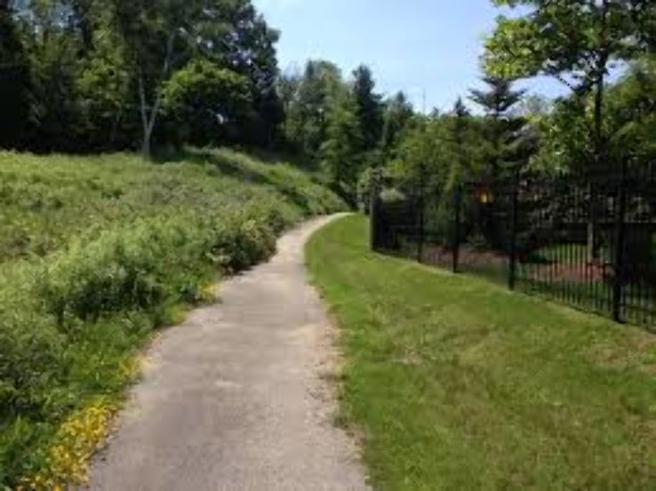 Warbler Woods Trip Packages Warbler Woods Trip Packages