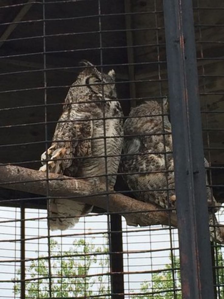 Chahinkapa Zoo in north dakota United States Of America reviews, best