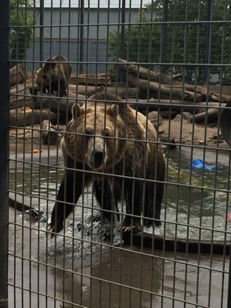 Chahinkapa Zoo in north dakota United States Of America reviews, best