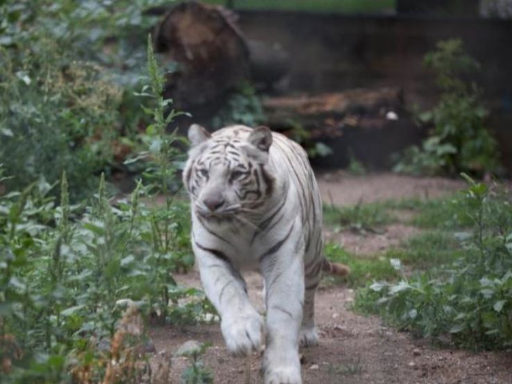 Chahinkapa Zoo 2021, 32 top things to do in north dakota, north dakota