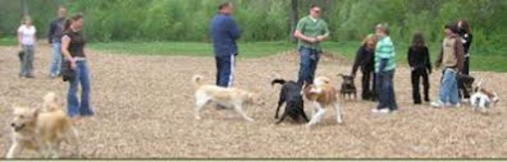 Greenway Off Leash Dog Park Trip Packages