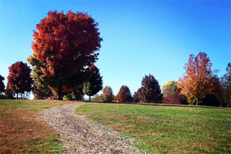 Lake Springfield Park Trip Packages