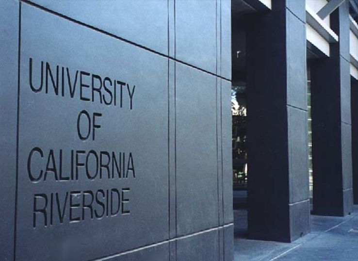 Museum of Photography Trip Packages