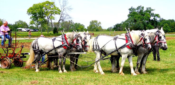 Carriage Hill MetroPark and Farm  Trip Packages