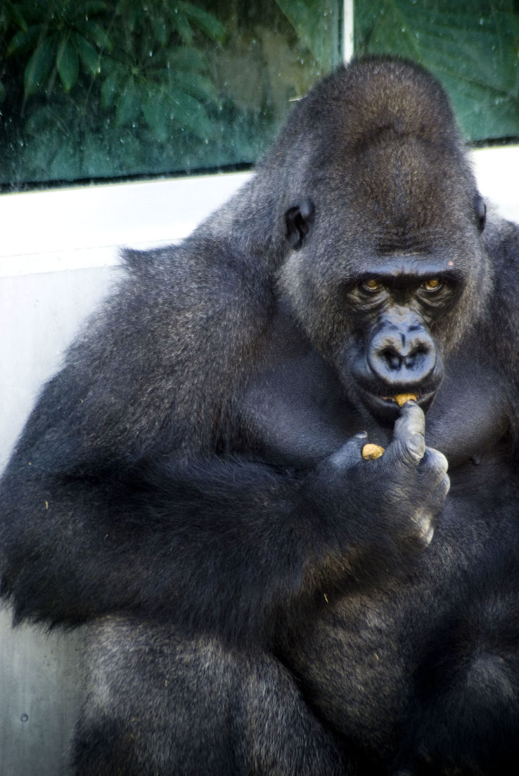 Sedgwick County Zoo Trip Packages