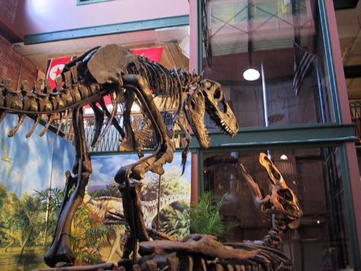 Museum of World Treasures Trip Packages