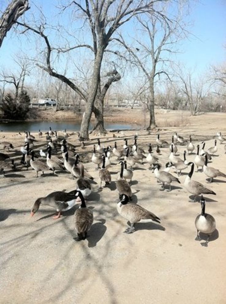 Sedgwick Park Trip Packages