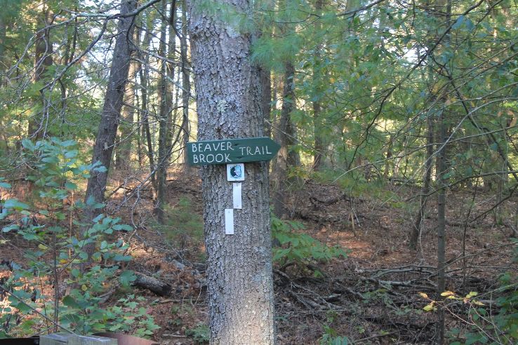 Sharon Trip Packages