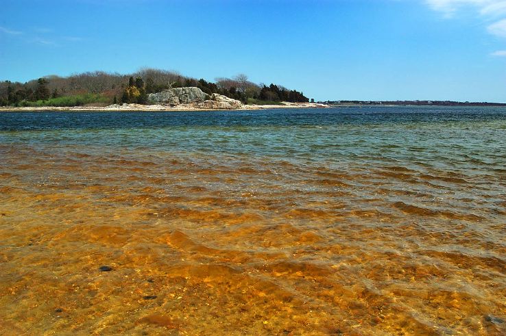 Demarest Lloyd State Park Trip Packages