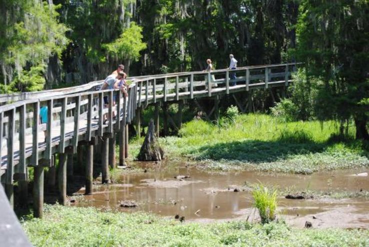 Phinizy Swamp Nature Park Trip Packages
