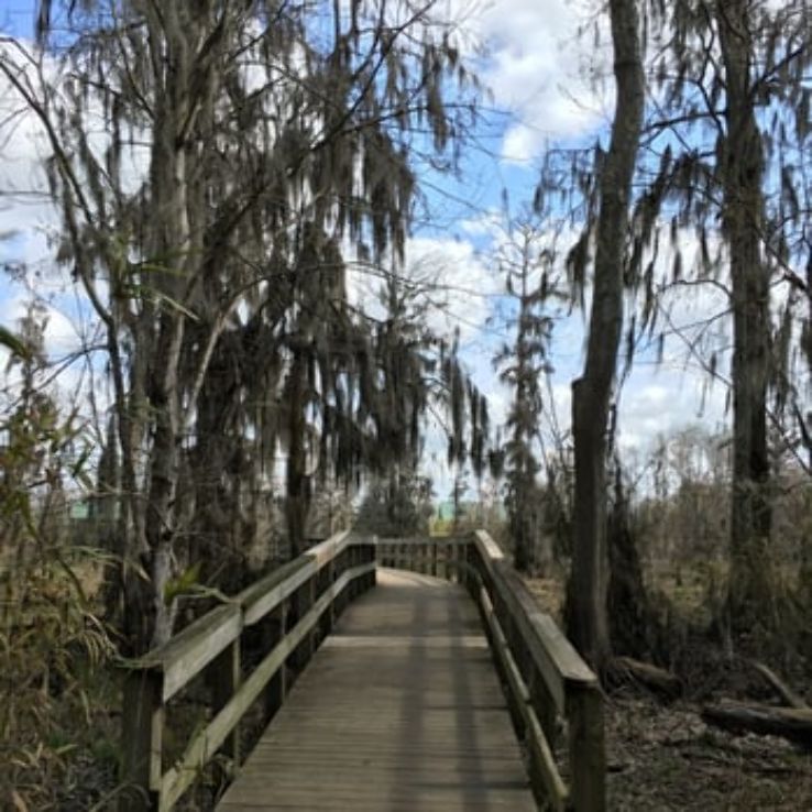 Phinizy Swamp Nature Park Trip Packages