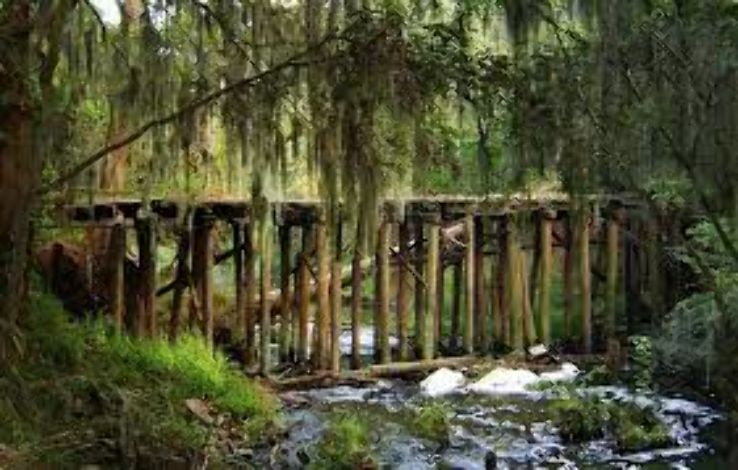 Phinizy Swamp Nature Park Trip Packages