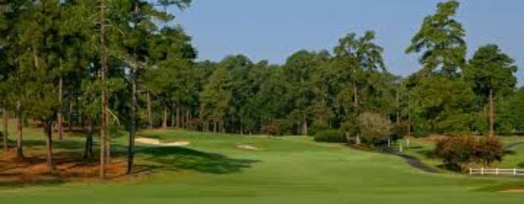 Forest Hills Golf Club Trip Packages