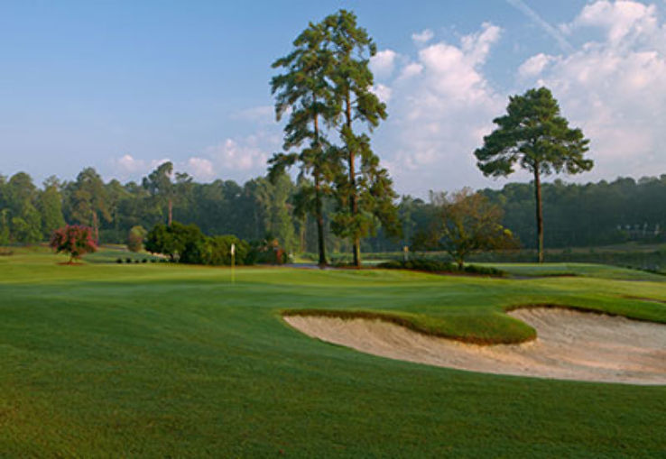 Forest Hills Golf Club Trip Packages