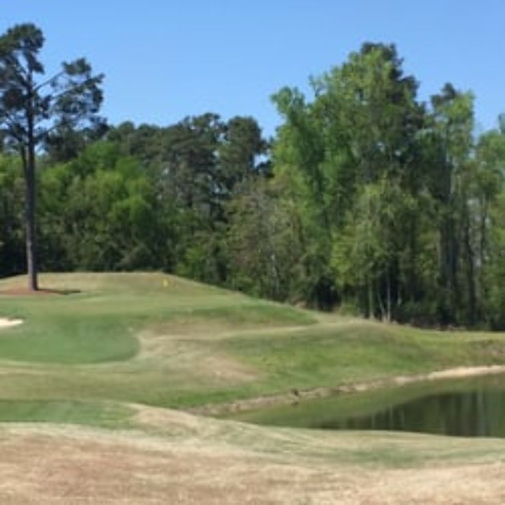 Forest Hills Golf Club Trip Packages