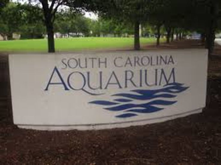 South Carolina Aquarium Trip Packages
