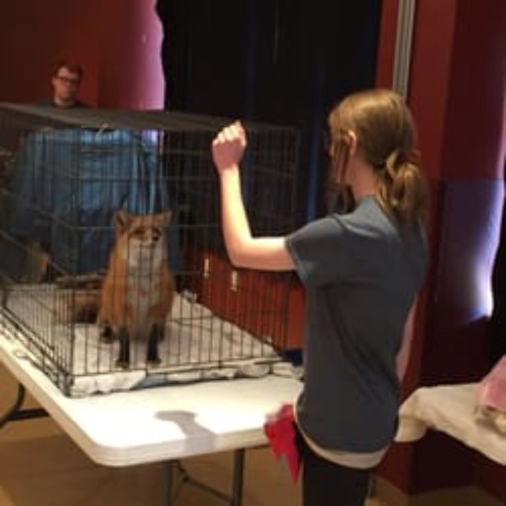 WonderLab Museum of Science, Health and Technology Trip Packages