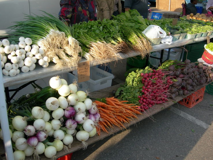 Bloomington Community Farmers Market Trip Packages